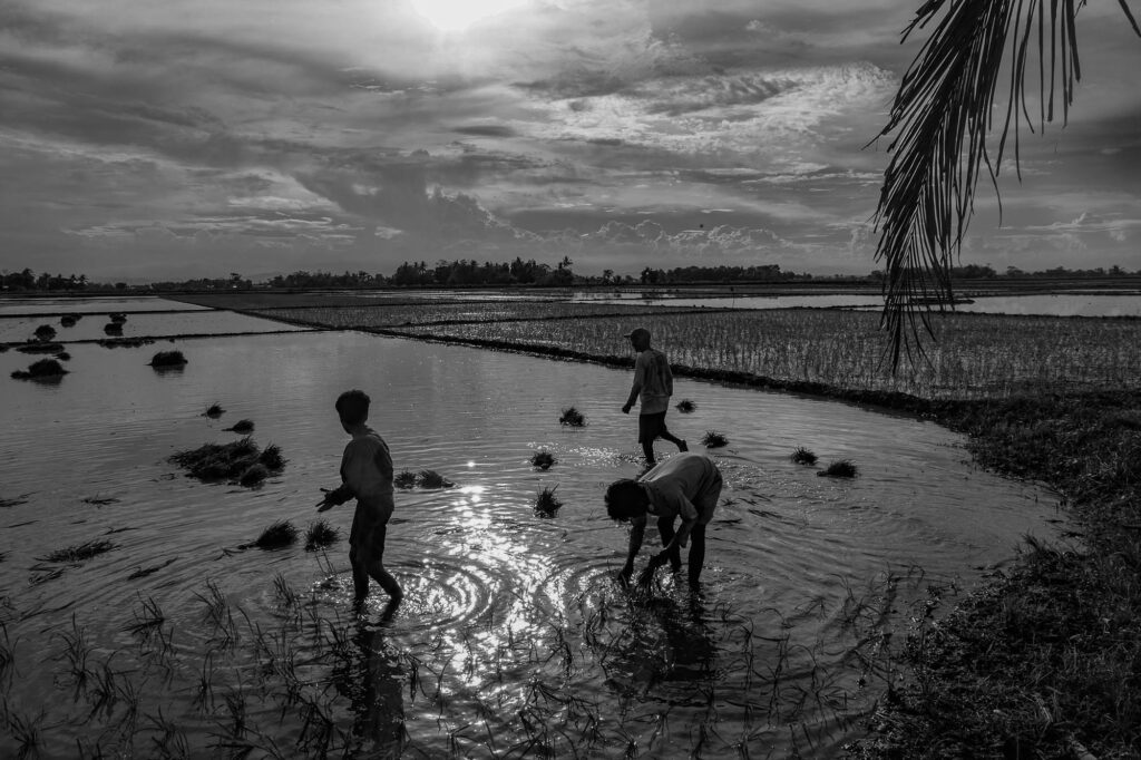 20210612untitled8955