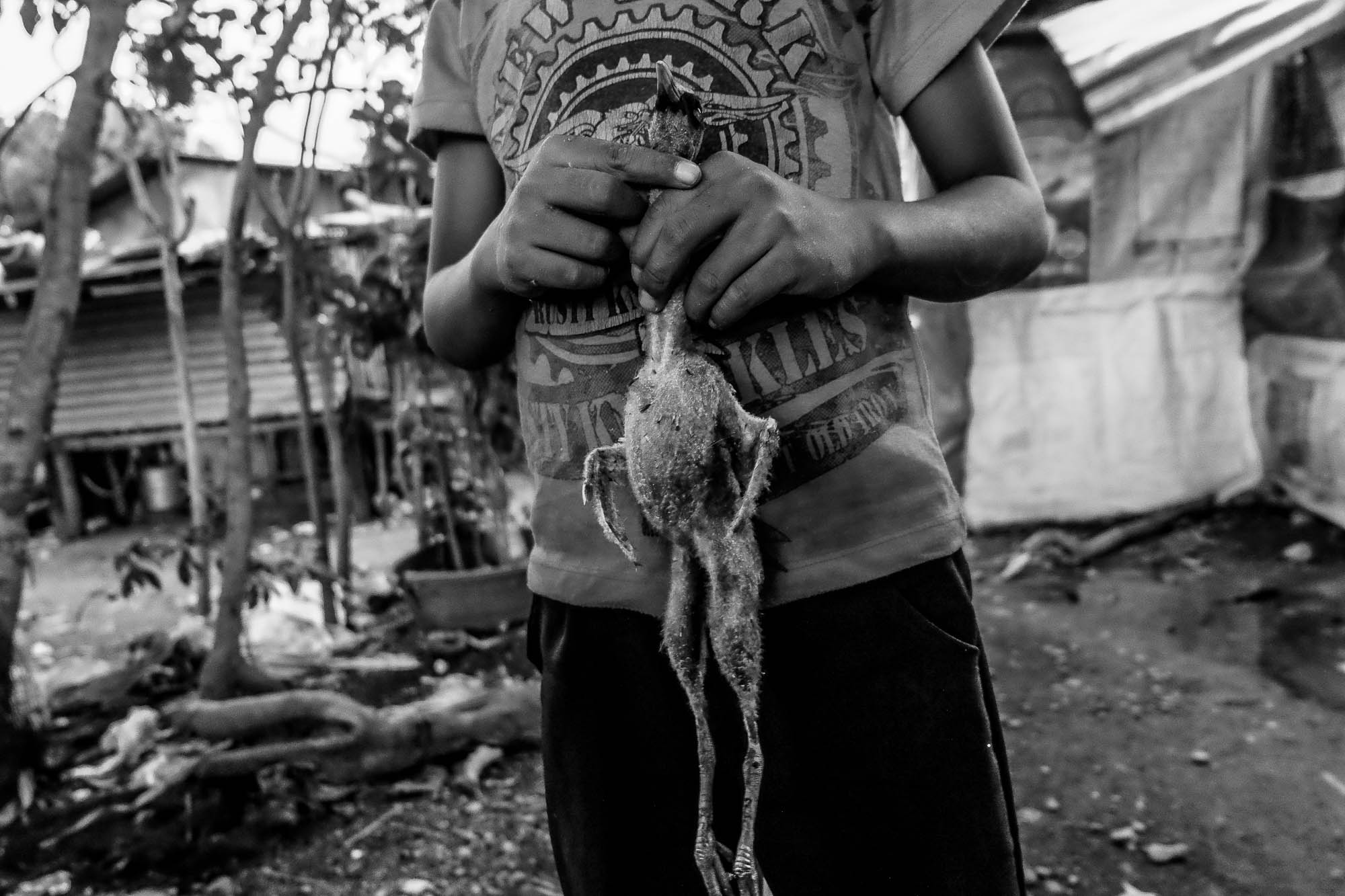 Field Notes Give context of how precarious the situation of farmers in the Philippines.